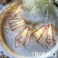 TROMSO-LED樂活布置小松樹燈串組 歷史價格詳細信息