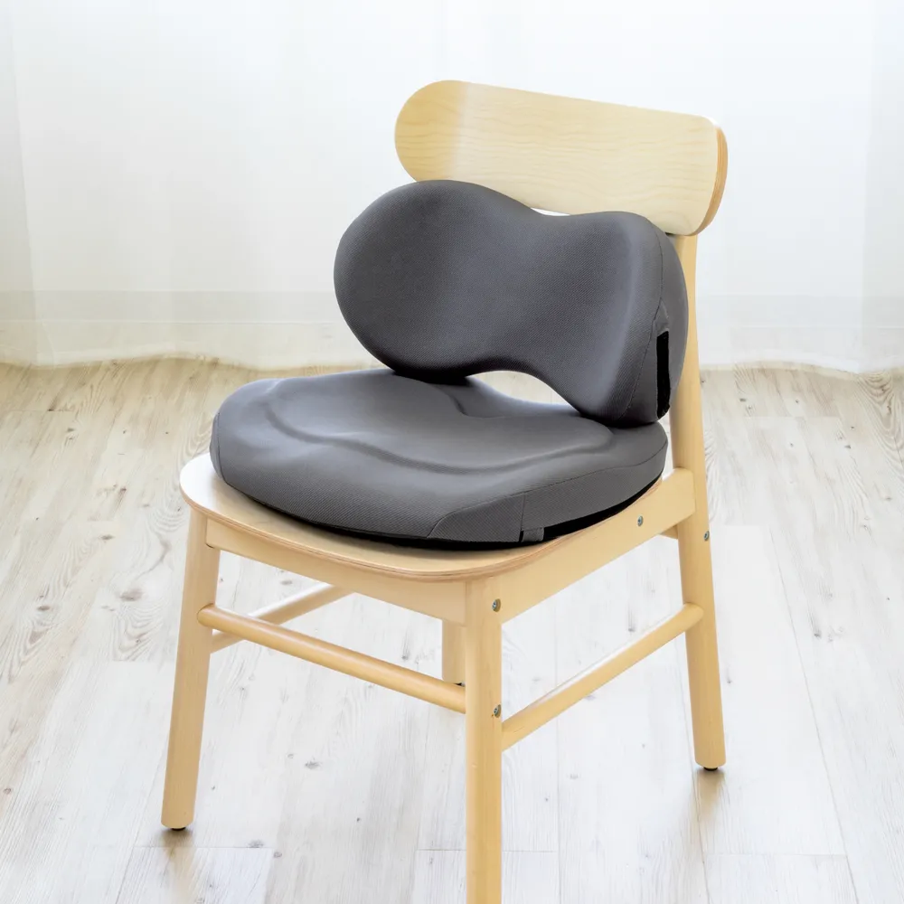 EXGEL 背部支撐旗艦版坐墊 日本製 (多色可選) 歷史價格詳細信息