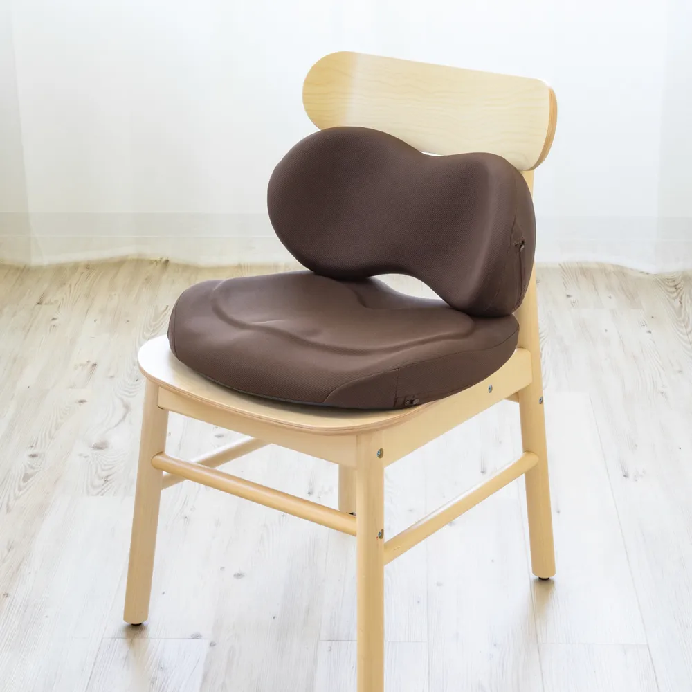 EXGEL 背部支撐旗艦版坐墊 日本製 (多色可選) 歷史價格詳細信息