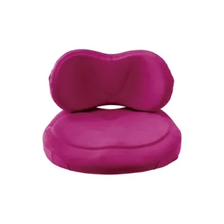 EXGEL 背部支撐旗艦版坐墊 日本製 (多色可選) 歷史價格詳細信息