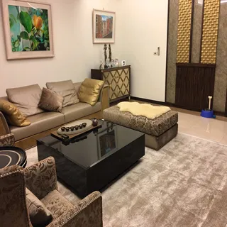 范登伯格 舒蕾柔感比利時亮澤柔軟長毛地毯-67藕紫-200x290cm 歷史價格詳細信息