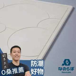 【NANOLABO】一般型鞋靴專用珪藻土除濕墊(1組2片) 歷史價格詳細信息