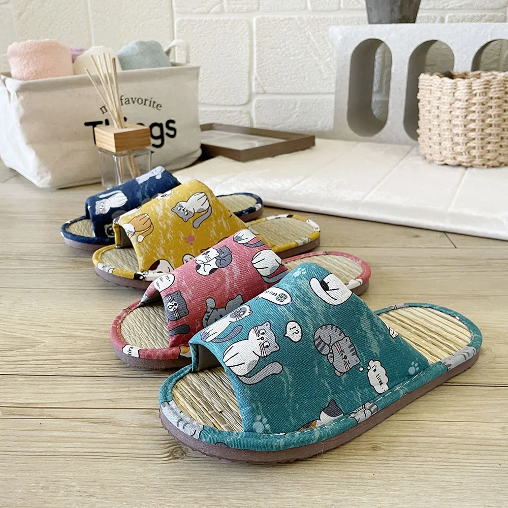 【群聚壹堂！西頓學園】DVD彩色光盤 歷史價格詳細信息