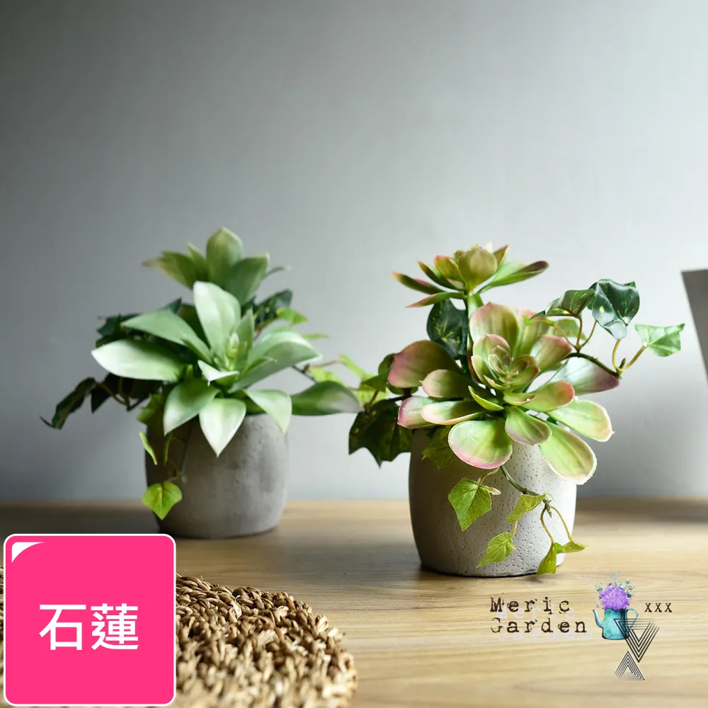 療癒植物容器 - 滿月瓶(DY608)(不包含植物)【絕版品出清】 歷史價格詳細信息