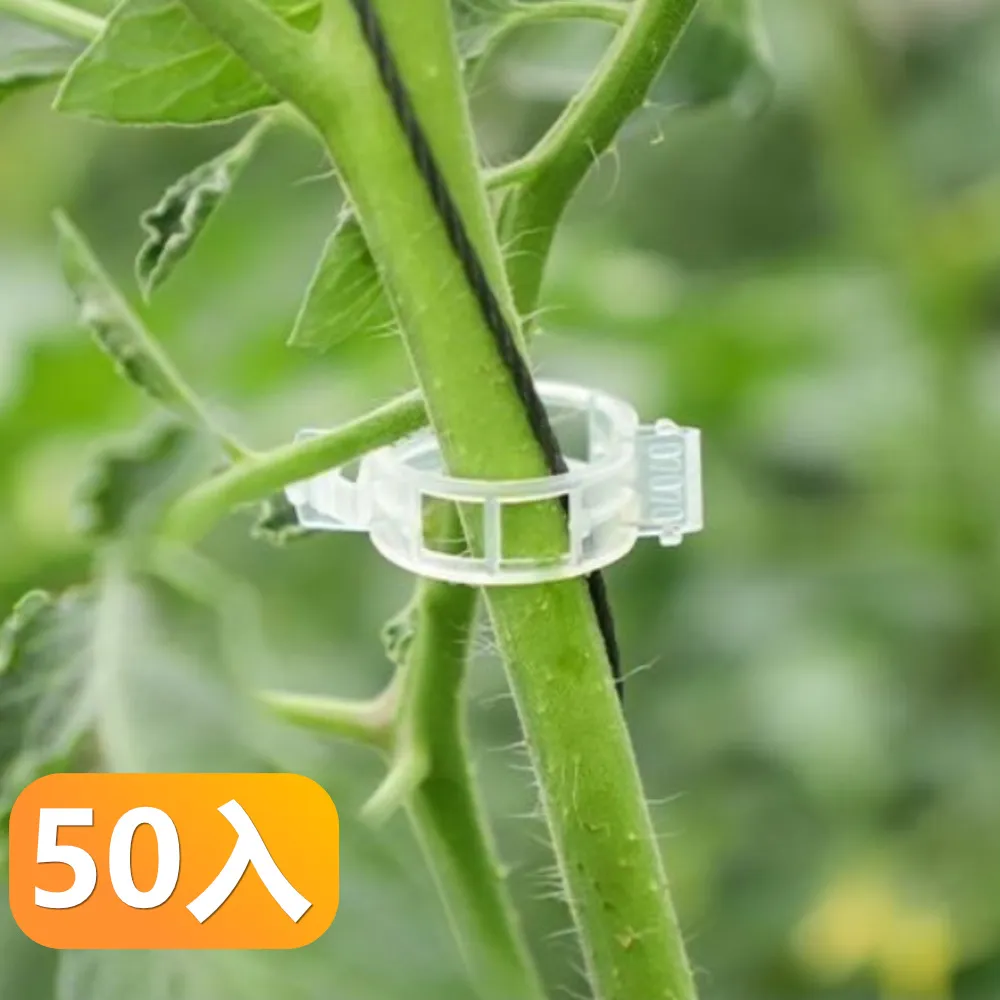 【晴安居】窄型好收納大容量冷水壺 大開口耐冷熱果汁飲料瓶-2入組 歷史價格詳細信息