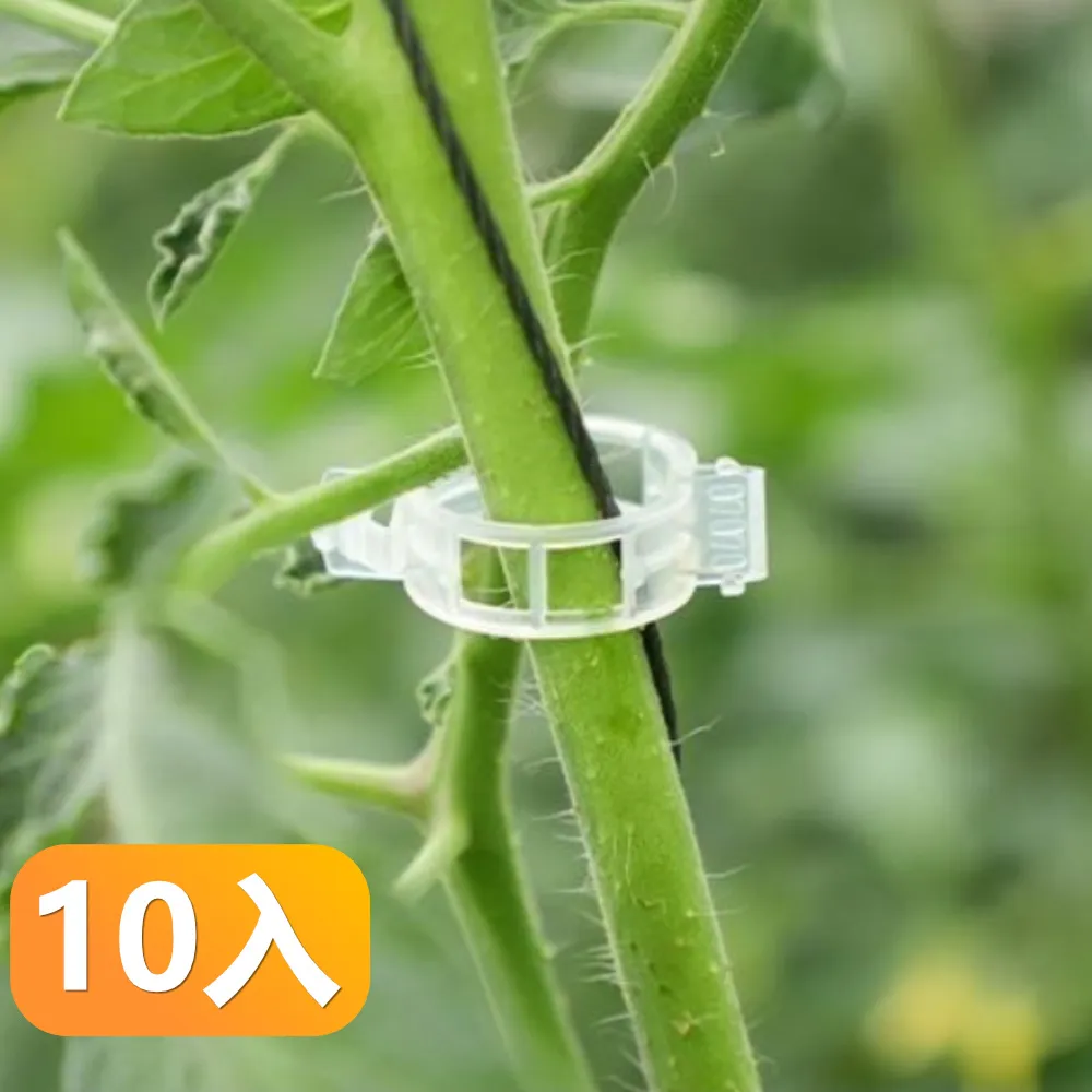 【晴安居】窄型好收納大容量冷水壺 大開口耐冷熱果汁飲料瓶-2入組 歷史價格詳細信息