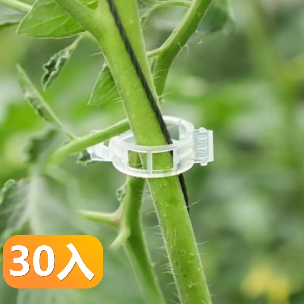 【晴安居】窄型好收納大容量冷水壺 大開口耐冷熱果汁飲料瓶-2入組 歷史價格詳細信息