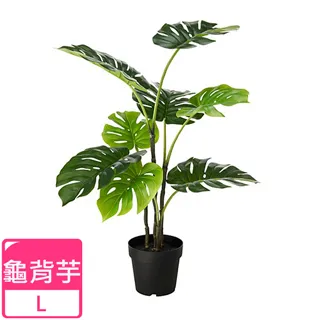 【Meric Garden】北歐風格居家裝飾高仿真大型景觀植栽擺設盆栽（扇型仙人掌） 歷史價格詳細信息