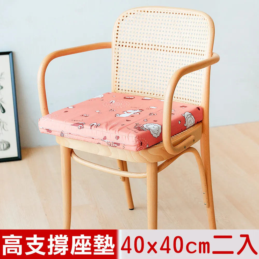 【奶油獅】森林野餐-台灣製造-高支撐記憶聚合紓壓坐墊/沙發墊/實木椅墊54x56cm-灰 歷史價格詳細信息