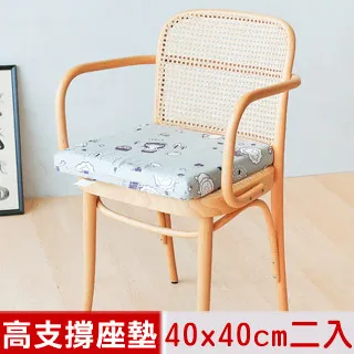 【奶油獅】森林野餐-台灣製造-高支撐記憶聚合紓壓坐墊/沙發墊/實木椅墊54x56cm-灰 歷史價格詳細信息