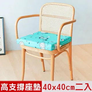 【奶油獅】森林野餐-台灣製造-高支撐記憶聚合紓壓坐墊/沙發墊/實木椅墊54x56cm-灰 歷史價格詳細信息