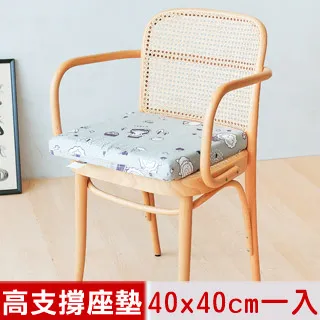 【奶油獅】森林野餐-台灣製造-高支撐記憶聚合紓壓坐墊/沙發墊/實木椅墊54x56cm-灰 歷史價格詳細信息