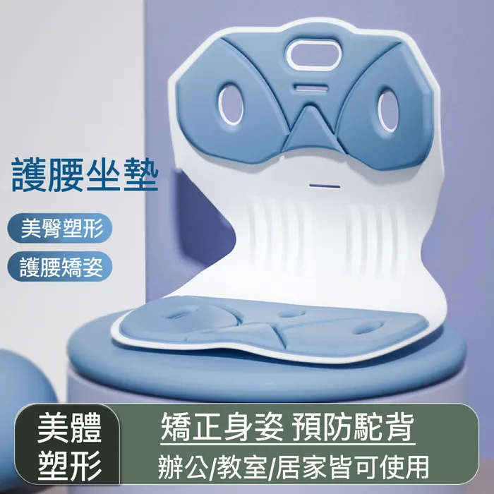 日本設計 花茶罐 散茶罐 fine porcelain lon by present  Holly 歷史價格詳細信息