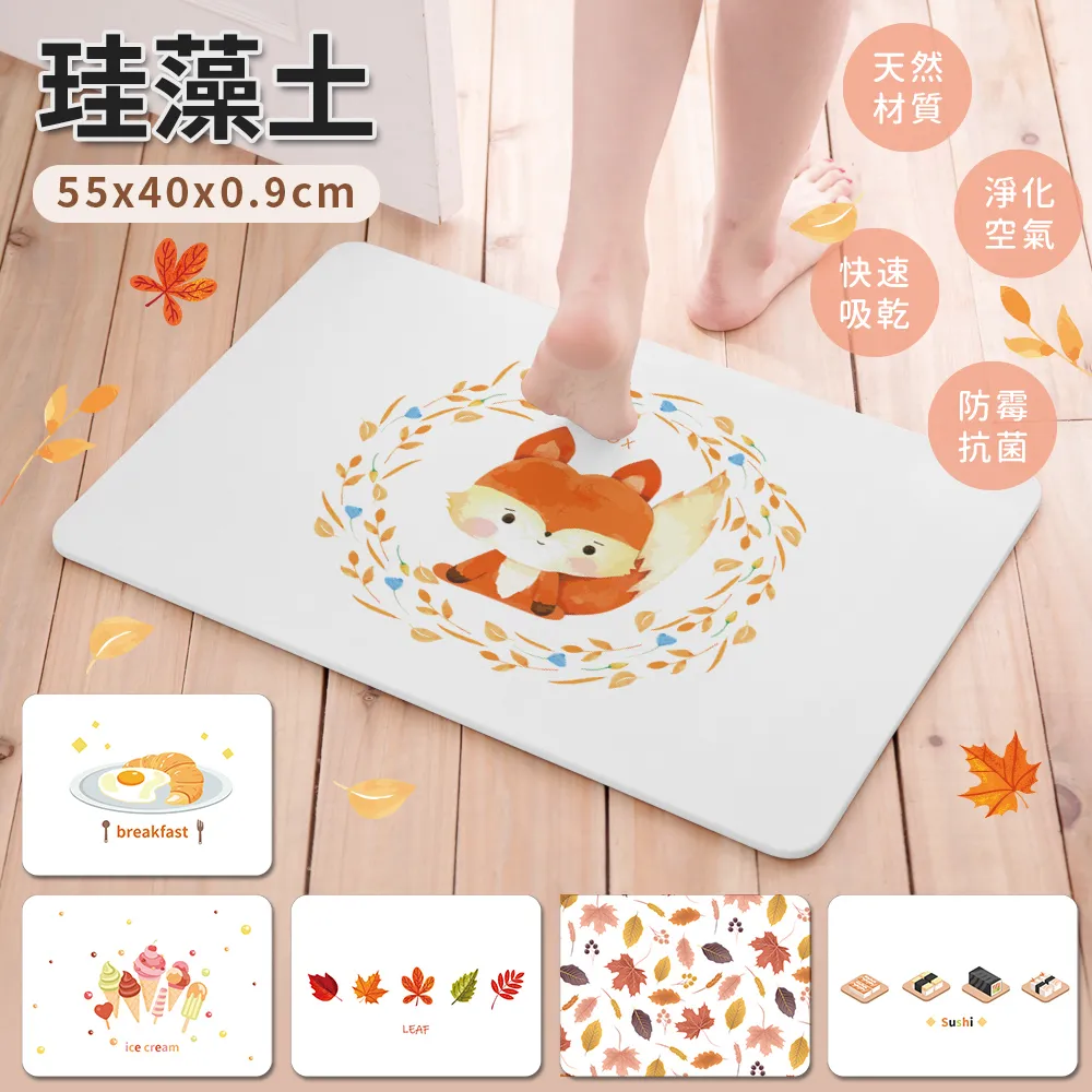 珪藻土吸水地墊 55x40x0.9 多款任選 SGS認證【網狐家居】 SGS檢驗不含石綿 歷史價格詳細信息