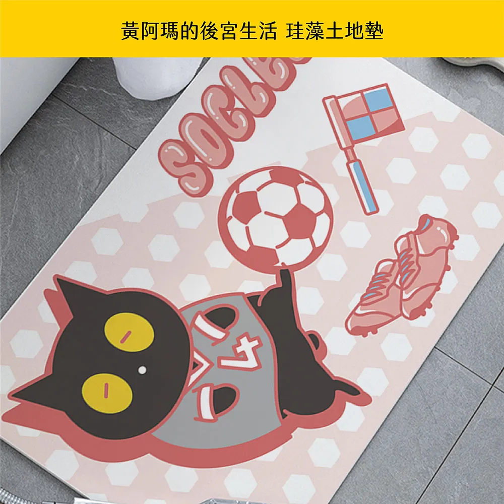 黃阿瑪的後宮生活 珪藻土吸水洗漱墊 矽藻土牙刷架 24x8cm【收納王妃】 歷史價格詳細信息