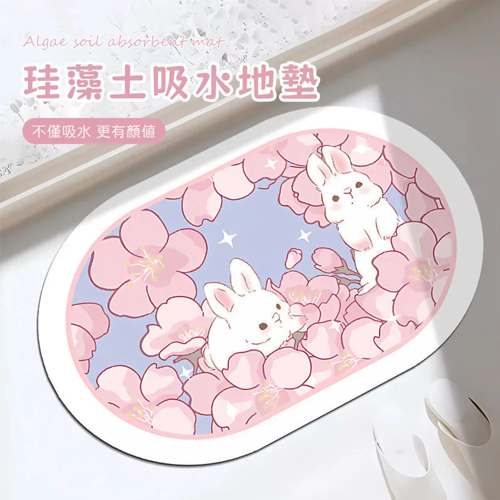 珪藻土吸水地墊40x60cm -蘊石 歷史價格詳細信息