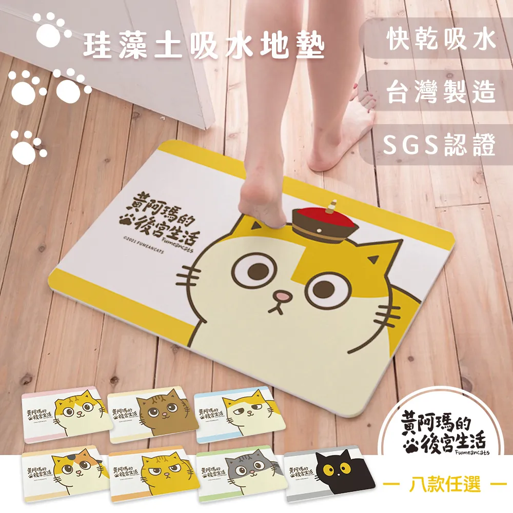 黃阿瑪的後宮生活 珪藻土吸水洗漱墊 矽藻土牙刷架 24x8cm【收納王妃】 歷史價格詳細信息