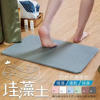 【藻土屋】超強吸水玄關浴室耐髒地毯地墊50*80cm 歷史價格詳細信息