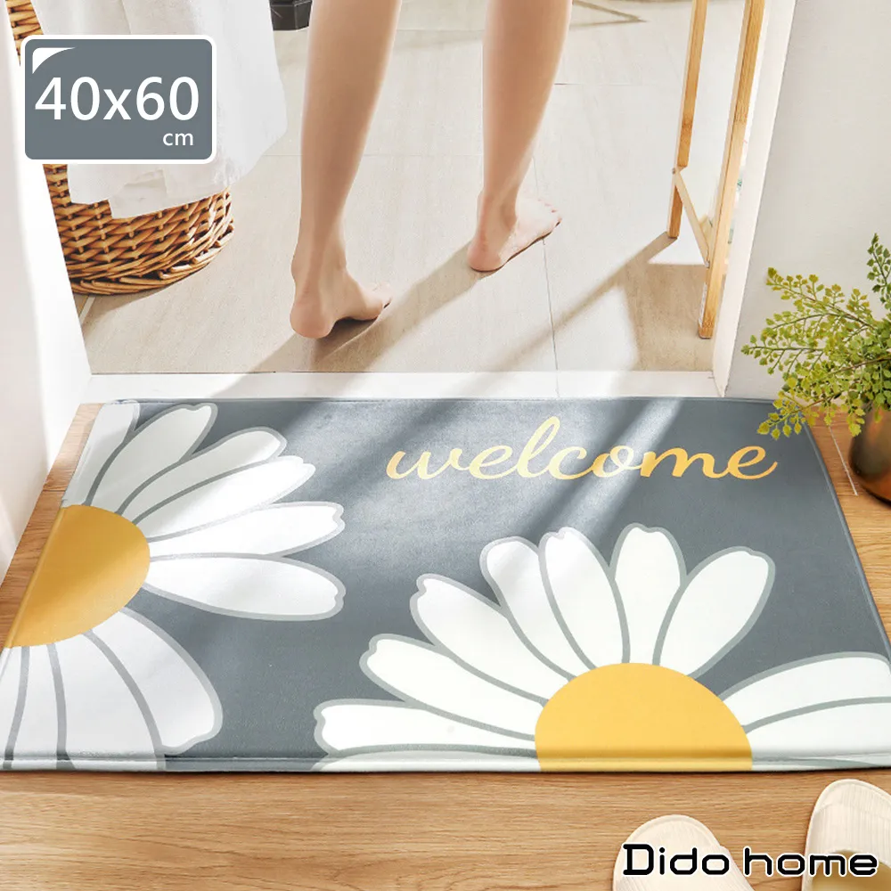 【Dido home】小清新 半圓玄關門口防滑絲圈刮泥地墊 (HM255) 歷史價格詳細信息