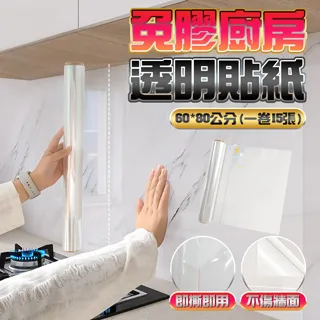 fioJa 費歐家 60cm單層 槍灰色吸盤式帶勾帶桿置物架 歷史價格詳細信息