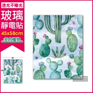 彩繪靜心胡娜庫許願本13本＋熊讚卡｜宇宙分享者套組【左西購物網】 歷史價格詳細信息