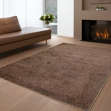 范登伯格 炫彩☆繽紛進口地毯-100x150cm 歷史價格詳細信息