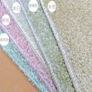 范登伯格 日本抗菌涼感紗地毯-蘋果綠-80x150cm 歷史價格詳細信息