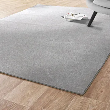 范登伯格-亞斯☆極緻柔軟亮澤進口地毯-99黑灰-140x200cm 歷史價格詳細信息