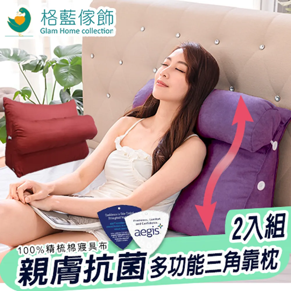 格藍傢飾 親膚抗菌支撐立體三角靠枕 2入組 價格比較,價格查詢,歷史價格詳細信息
