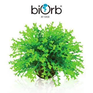 OASE biOrb 綠色仿真植栽組(中) 歷史價格詳細信息