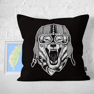 【IHERMI】野狼飛行員A 抱枕 現貨 台灣製 抱枕套 45cm 厚實帆布 耐水洗不退色 歷史價格詳細信息