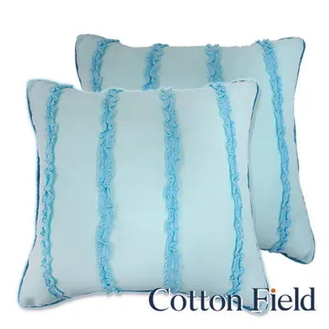 棉花田【卡洛琳】蕾絲抱枕-紅(二件組) 歷史價格詳細信息