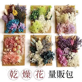 乾燥花之神 量販包 2入組 乾燥花 浮游花 蠟燭 花藝材料包 蠟燭 花材 乾花 卡片裝飾 歷史價格詳細信息