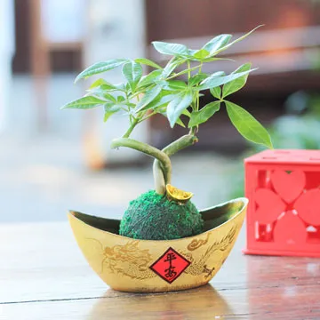 【迎光】Cultivation Table-迷你草莓 歷史價格詳細信息