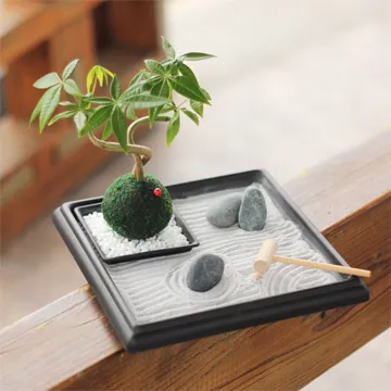 【迎光】Cultivation Table-迷你草莓 歷史價格詳細信息