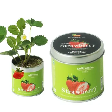 【迎光】幸福球藻-海底世界(三款可選) 歷史價格詳細信息