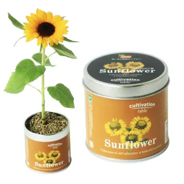 【迎光】Cultivation Table-迷你草莓 歷史價格詳細信息