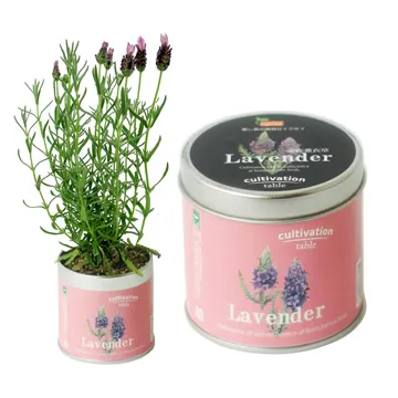 【迎光】幸福球藻-海底世界(三款可選) 歷史價格詳細信息