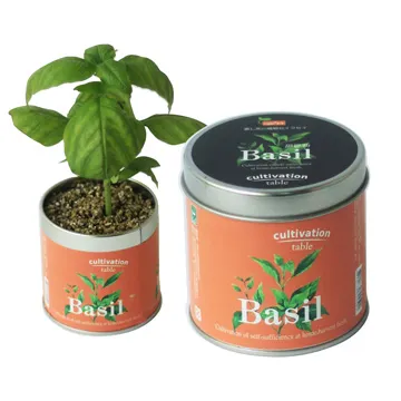 【迎光】幸福球藻-海底世界(三款可選) 歷史價格詳細信息