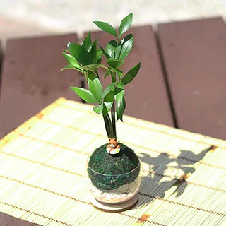 2018竹塹文學獎得獎作品輯 歷史價格詳細信息