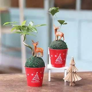 【迎光】Secret Garden秘密花園小植栽-紫色 歷史價格詳細信息