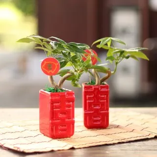 囍事台灣 陳柔縉 歷史價格詳細信息