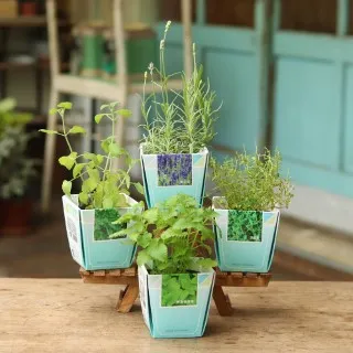 香草植物栽培筆記：圖解50種經典香草的種植&應用 歷史價格詳細信息