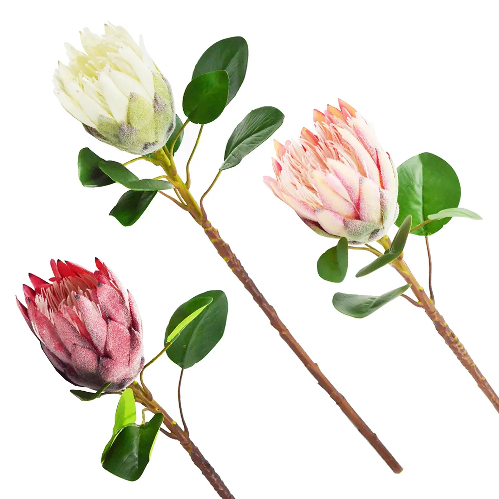 [ Y.U ]  [ 一組兩件免運費 ] 無縫線版 運動束衣 緊身衣 彈性透氣 健身 籃球 單車 素色好搭配 歷史價格詳細信息