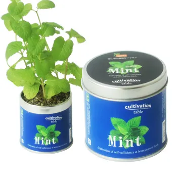 【迎光】Cultivation Table-迷你草莓 歷史價格詳細信息