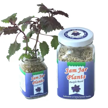 小紫蘇(A級) 600g【五穀話梅果乾系列】【樂客來】 歷史價格詳細信息