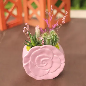 【迎光】粉紅豬開運竹 歷史價格詳細信息