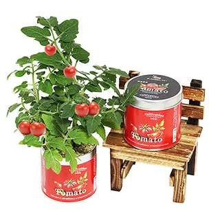 【迎光】Cultivation Table-迷你草莓 歷史價格詳細信息