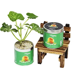 【迎光】Cultivation Table-迷你草莓 歷史價格詳細信息