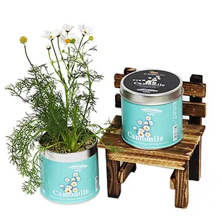 【迎光】Cultivation Table-迷你草莓 歷史價格詳細信息